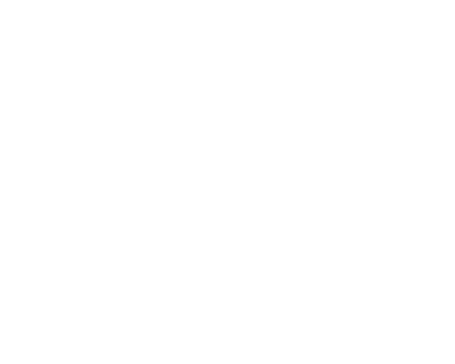 FonAI
